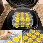 Stackable Dehydrator Rack for Ninja Foodi AG300