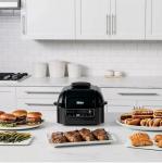 Ninja Foodi Pro 5-in-1 Air Fryer and Grill