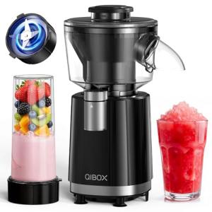 Ninja Snow Cone & Smoothie Blender 2-in-1