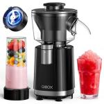 Ninja Snow Cone & Smoothie Blender 2-in-1