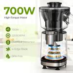 Ninja Snow Cone & Smoothie Blender 2-in-1