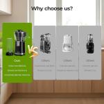 Ninja Snow Cone & Smoothie Blender 2-in-1