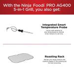 Ninja Foodi Pro 5-in-1 Air Fryer and Grill