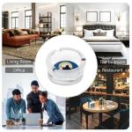 Ninja Classic Watercolor Glass Ashtray - 3.3 Inches