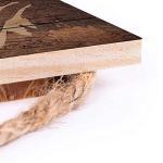 Ninja Cat Wooden Sign for Bedroom Decor