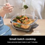 Ninja FN100ND Crispi Air Fryer & Cooking System