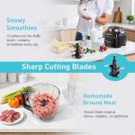 HoninJoy All-in-One Blender & Food Processor, 10-in-1 Professional Blender for Smoothies, Ice Crushing, Dough Making, Chopping, Grinding, Slicing & Shredding, Dishwasher Safe for Kitchen & Home Use