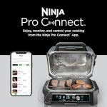 Ninja Woodfire Pro Connect XL Grill & Smoker