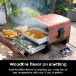 Ninja Woodfire Outdoor Pizza Oven & BBQ Smoker