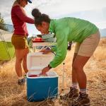 Ninja 30qt Insulated Portable Cooler for All Occasions