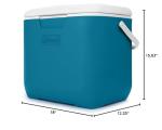 Ninja 30qt Insulated Portable Cooler for All Occasions