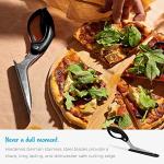 Dreamfarm Scizza 2-in-1 Pizza Scissors & Server