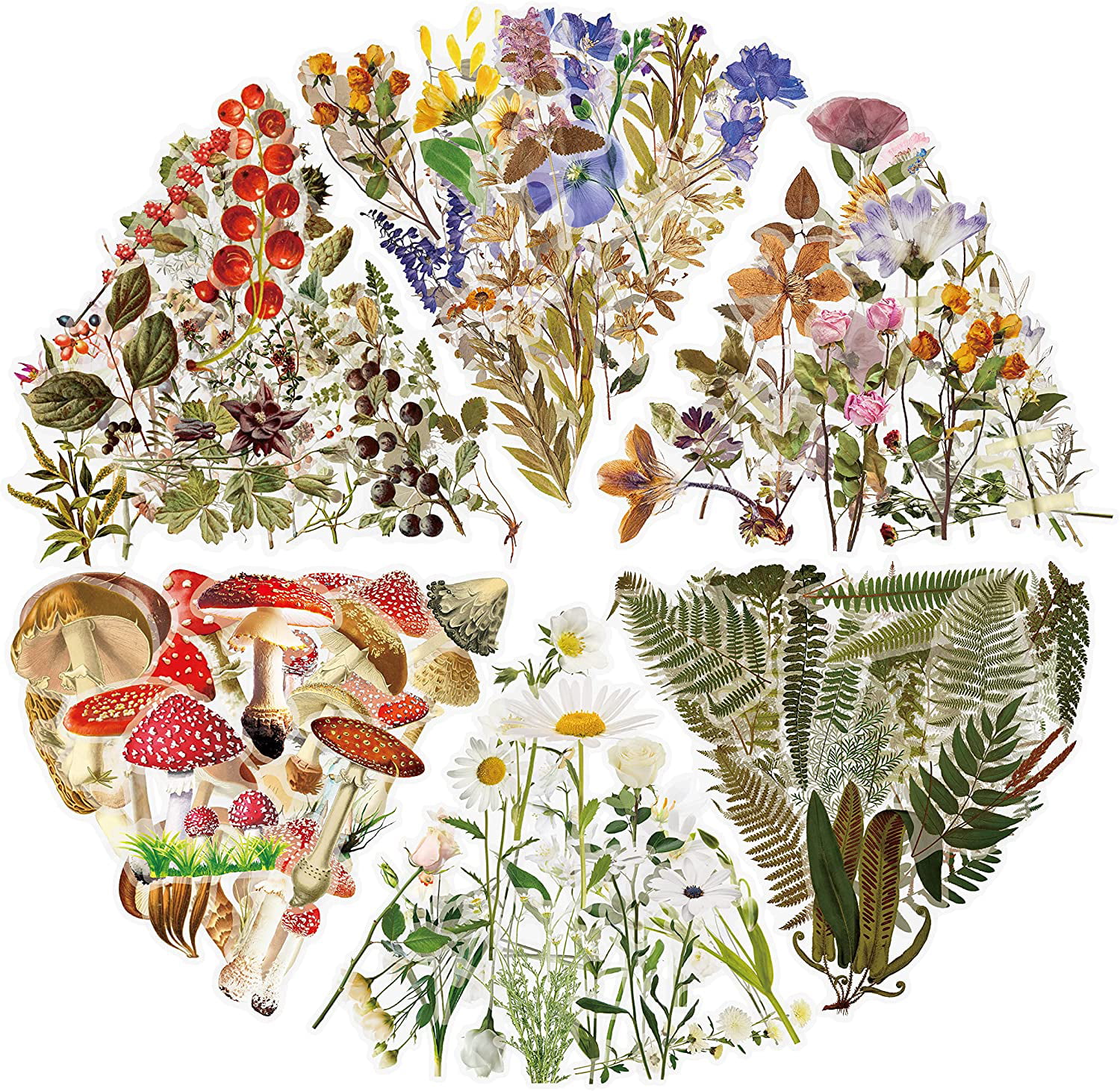 240 Vintage Plant Stickers for Journals/Planners