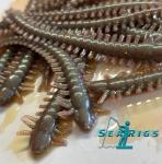 Ragworm Lures in Natural Oil - 4 Inch Pack