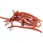 20pcs Artificial Sea Worms 135mm Fishing Lures