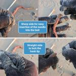 F2M - Box of 5 hollow worm needles – Tube of 5 perforated needles for natural baits – 5 pieces of 20cm stainless steel needles for baiting – Surf fishing (5, 20cm)