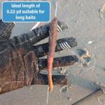 F2M - Box of 5 hollow worm needles – Tube of 5 perforated needles for natural baits – 5 pieces of 20cm stainless steel needles for baiting – Surf fishing (5, 20cm)