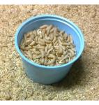 500 Live Wax Worms Bee Moth Live Bait Ice Fishing Reptile Gecko Food waxworms