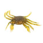 Ieron Seabass Fishing Lures Artificial Bait Crab Lures with Hooks Simulation Crab Fishing Bait for Saltwater and Freshwater Fishing