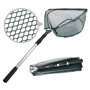 Collapsible Fishing Landing Net - Lightweight & Portable