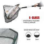 Collapsible Fishing Landing Net - Lightweight & Portable