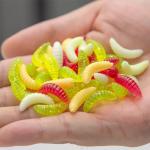 350-Piece Soft Plastic Worm and Mealworm Bait Set