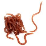 Lifelike Plastic Worms Fishing Bait for Bass Trout