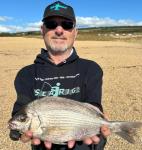 Mixed Colour Ragworm Lures in Natural Oil - 12 Pack