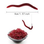 350-Piece Soft Plastic Worm and Mealworm Bait Set