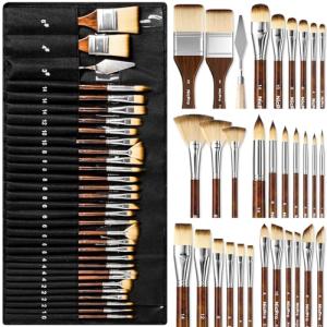 Nicpro 30-Piece Professional Paint Brush Set