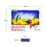 MUNGYO 64 Color Soft Pastel Set for Artists