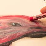 Pentel Arts Oil Pastel Set - 25 Colors