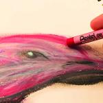 Pentel Arts Oil Pastel Set - 25 Colors