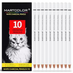 White Charcoal Pencil Set for Artists - 10 Pcs