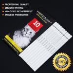 White Charcoal Pencil Set for Artists - 10 Pcs