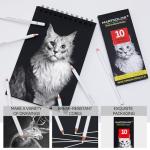 White Charcoal Pencil Set for Artists - 10 Pcs