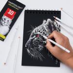 White Charcoal Pencil Set for Artists - 10 Pcs