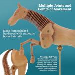 8" Articulated Wooden Horse Manikin for Drawing