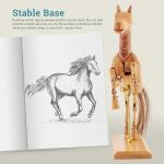 8" Articulated Wooden Horse Manikin for Drawing