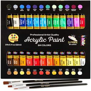 24 Color Acrylic Paint Set with 3 Brushes