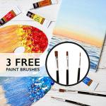 24 Color Acrylic Paint Set with 3 Brushes