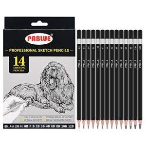 PABLUE Triangular Sketch Pencil Set for Artists