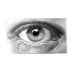 Faber-Castell Goldfaber Graphite Sketch Kit