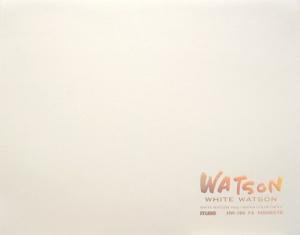 Muse HW-301 Watercolor Paper Block, Pack of 15
