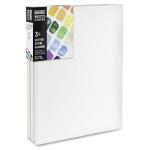 Liquitex BASICS 3-Pack 18" x 24" Canvases