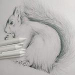 6-Piece Blending Stumps and Tortillions Set