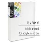 Liquitex BASICS 3-Pack 18" x 24" Canvases
