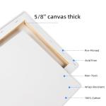 PALFIK 24x36 Inch Stretched Canvas 2 Pack