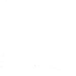 Holbein Artists Gouache 15ml - Primary White