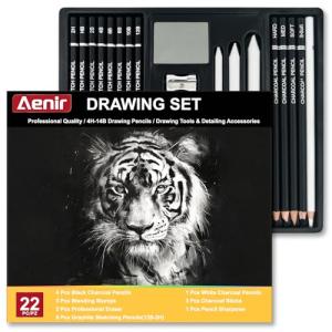 Aenir Charcoal Pencils Set for Drawing, 22 Pieces
